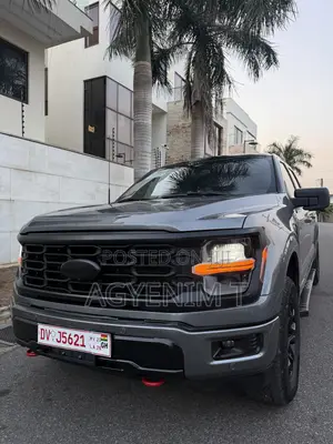 Ford F-150 XLT 2024 Gray