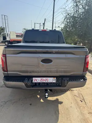 Ford F-150 XLT 2024 Gray