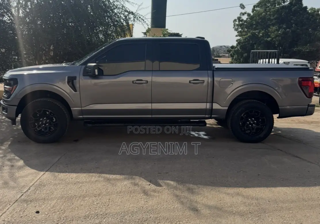 Ford F-150 XLT 2024 Gray