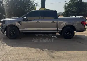 Ford F-150 XLT 2024 Gray