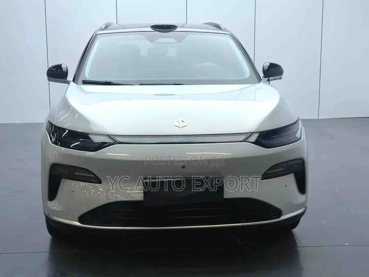 Leapmotor C11 2025 Gray