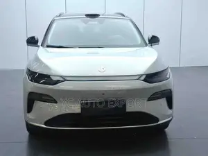Leapmotor C11 2025 Gray