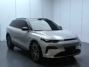 Leapmotor C11 2025 Gray