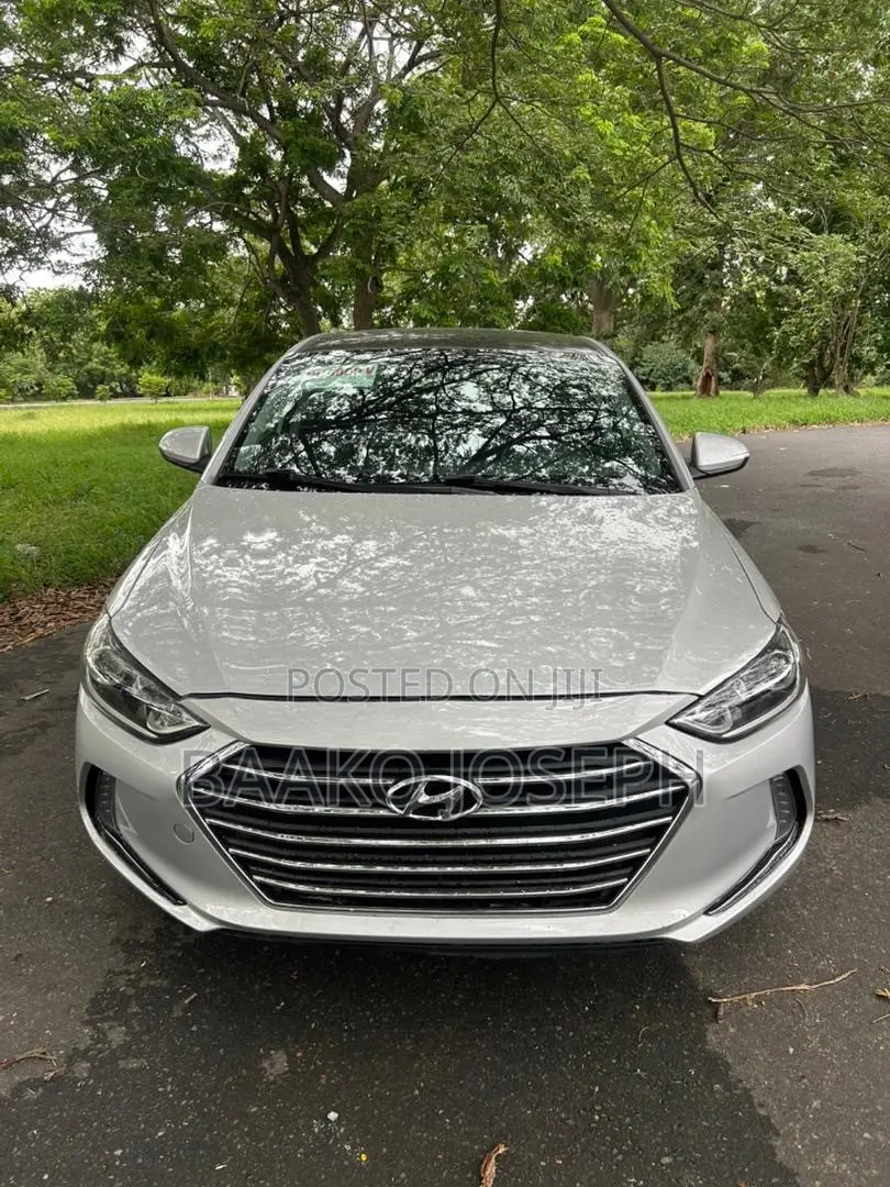 Hyundai Elantra Sport Sedan FWD (1.6L 4cyl 6M) 2017 Silver