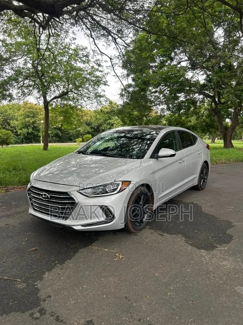 Hyundai Elantra Sport Sedan FWD (1.6L 4cyl 6M) 2017 Silver