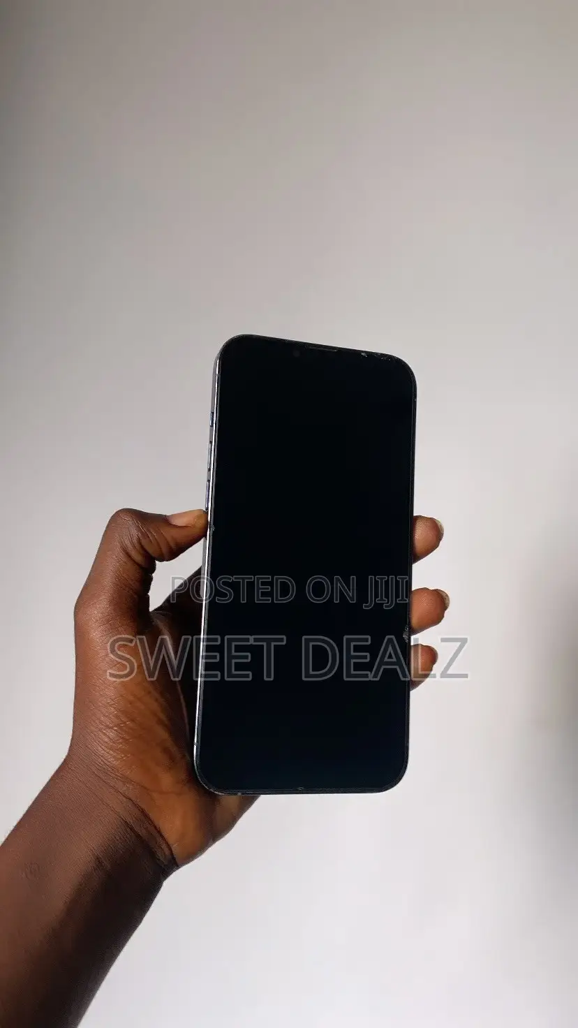 Apple iPhone 13 Pro Max 256 GB Blue
