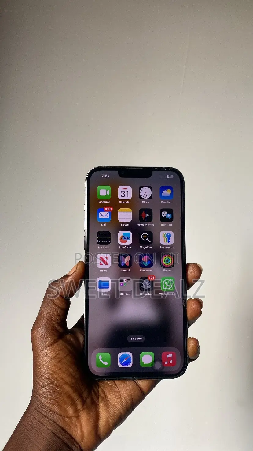 Apple iPhone 13 Pro Max 256 GB Blue