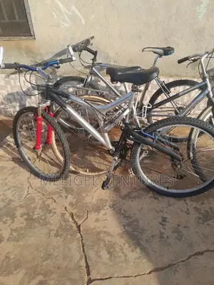 Newly Cleared Bicycles
