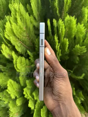 Mobile Phone 512 GB Silver