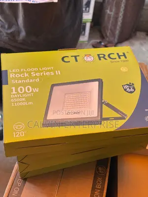 Ctorch Flood Light 100watt