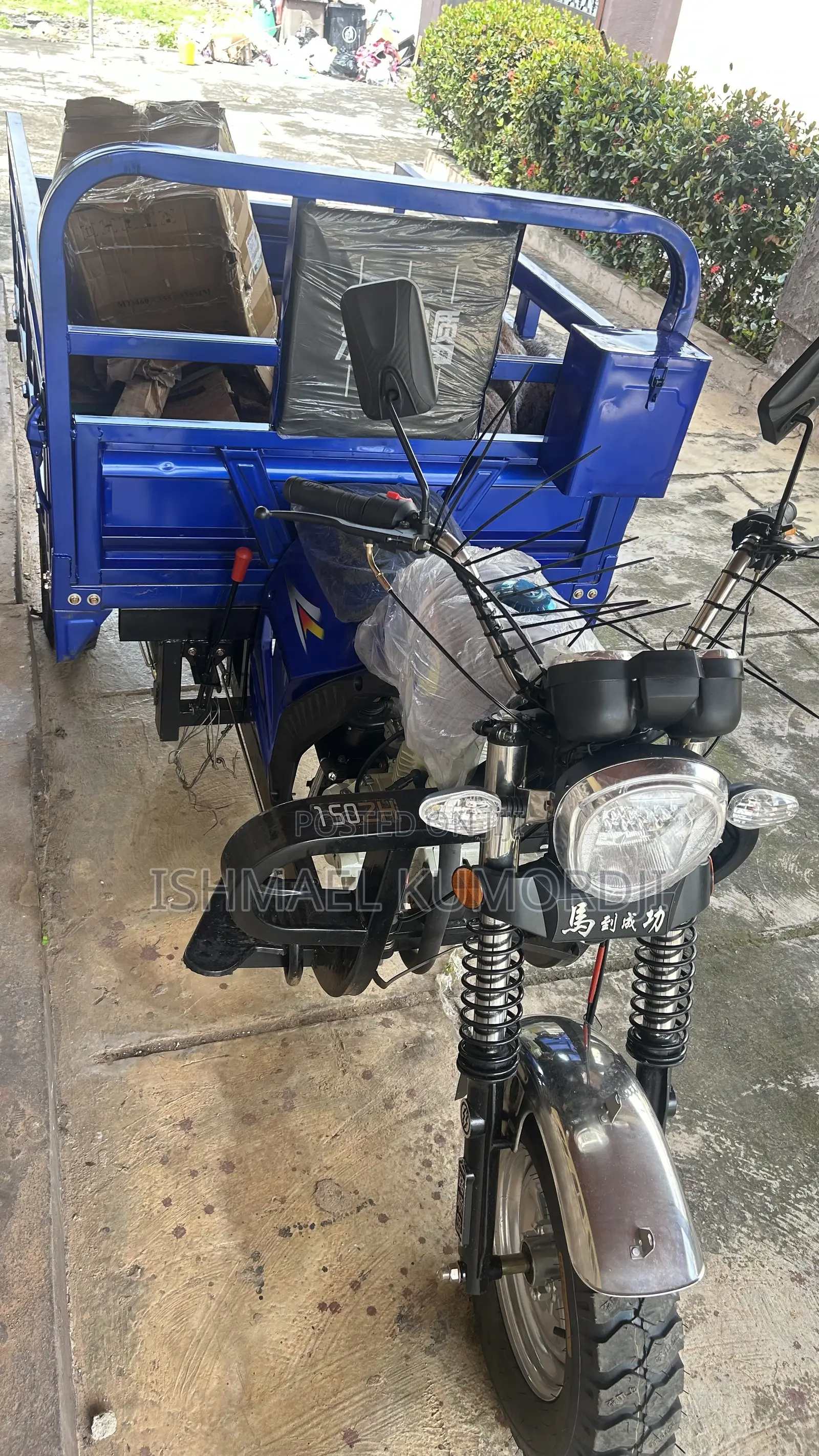 New Tricycle 2026 Blue