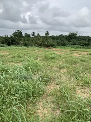 Residential Land on Swedru -Winneba Highway