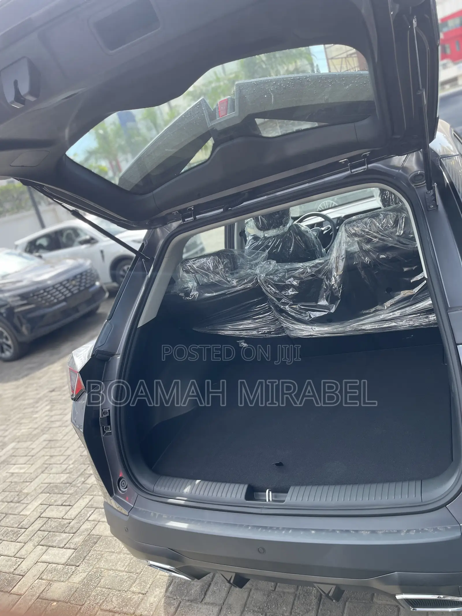 New Triumph Speed 2025 Gray