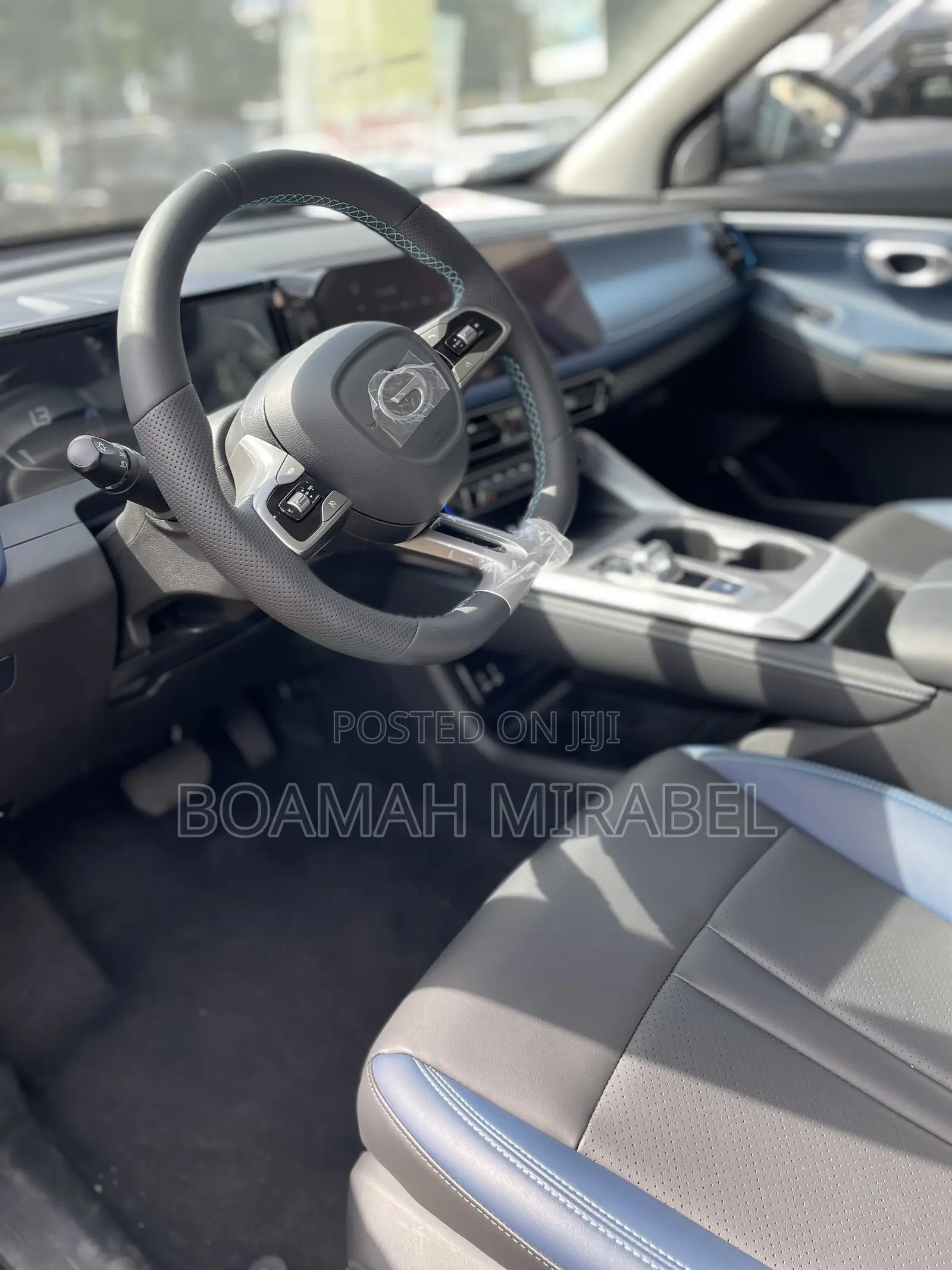 New Triumph Speed 2025 Gray