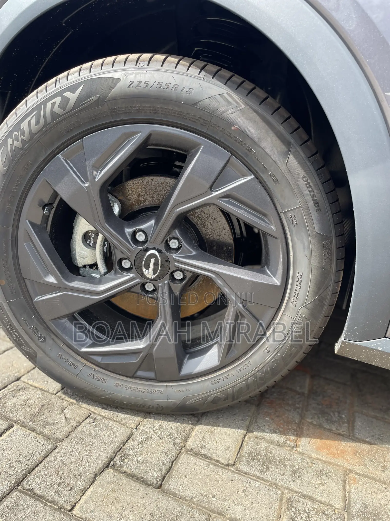 New Triumph Speed 2025 Gray