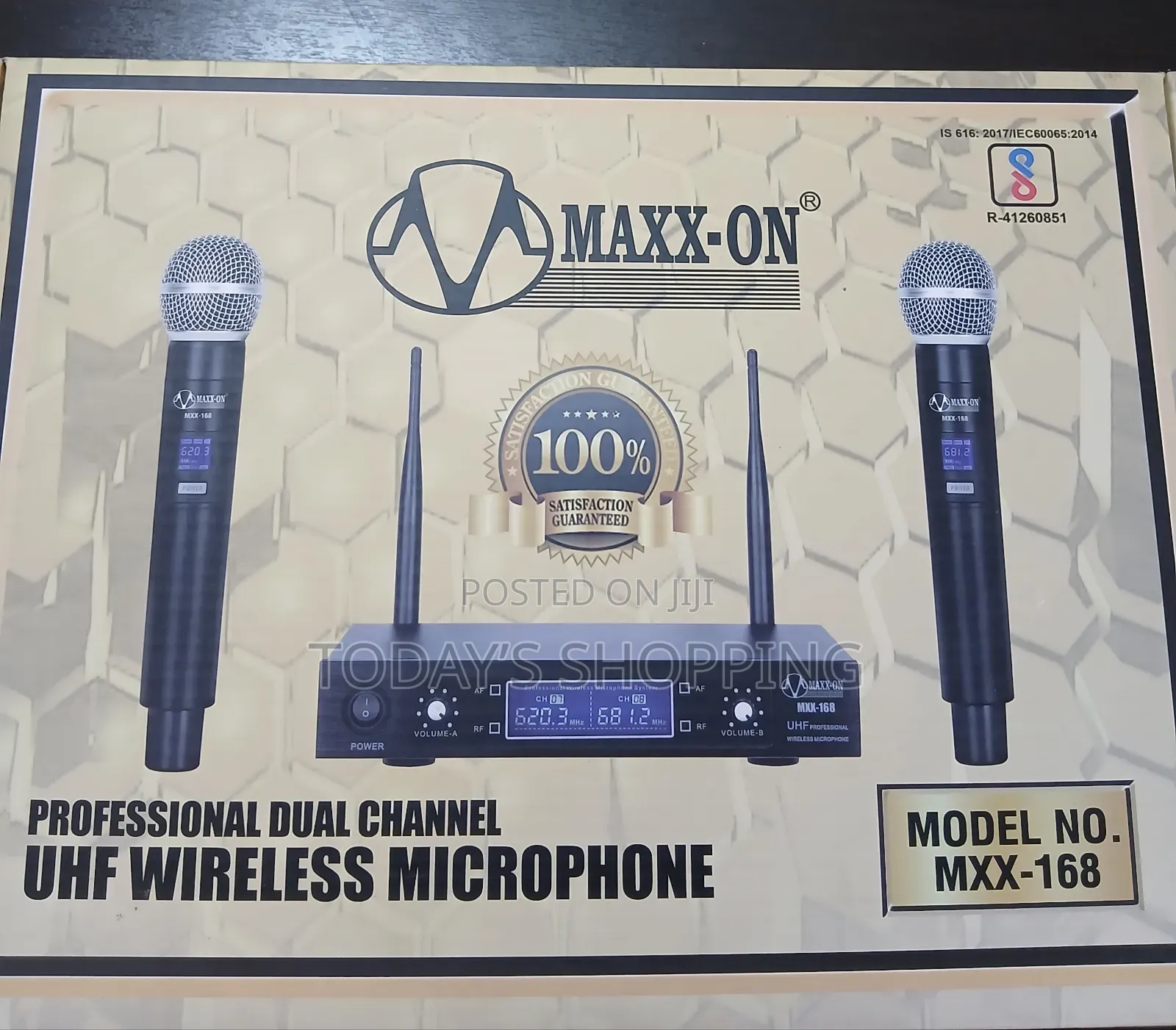 Professional Wireless Microphone