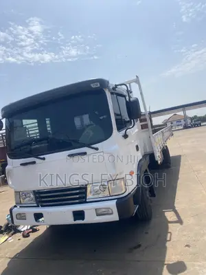 Hyundai Gold 5 Ton 2010 White