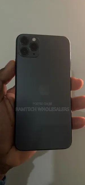 Apple iPhone 11 Pro Max 256 GB Gray