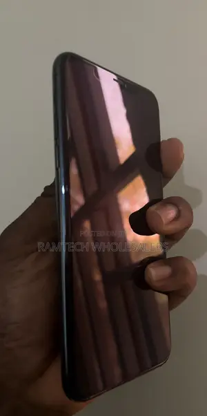 Apple iPhone 11 Pro Max 256 GB Gray