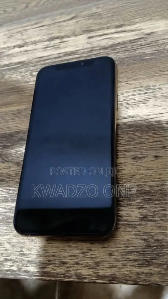 Apple iPhone 11 Pro 256 GB Gray