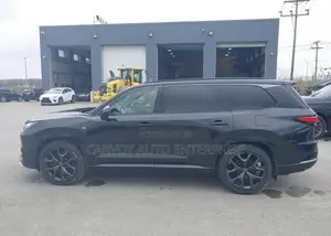 Lexus TX TX 500h AWD 2024 Black