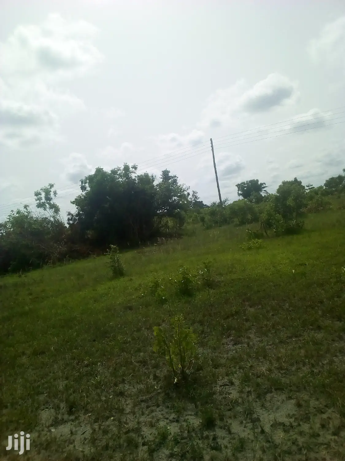 150 Acres of Land Farm Land