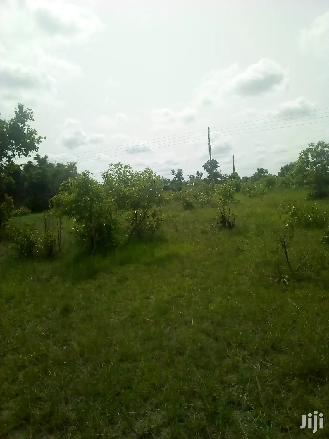 150 Acres of Land Farm Land