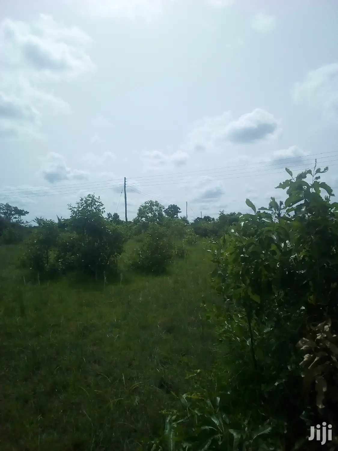150 Acres of Land Farm Land