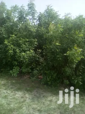 150 Acres of Land Farm Land