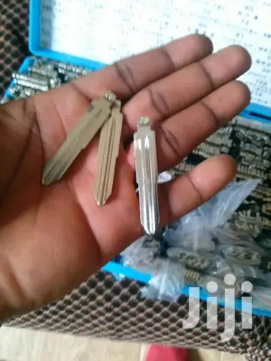 Blank Car Keys Set