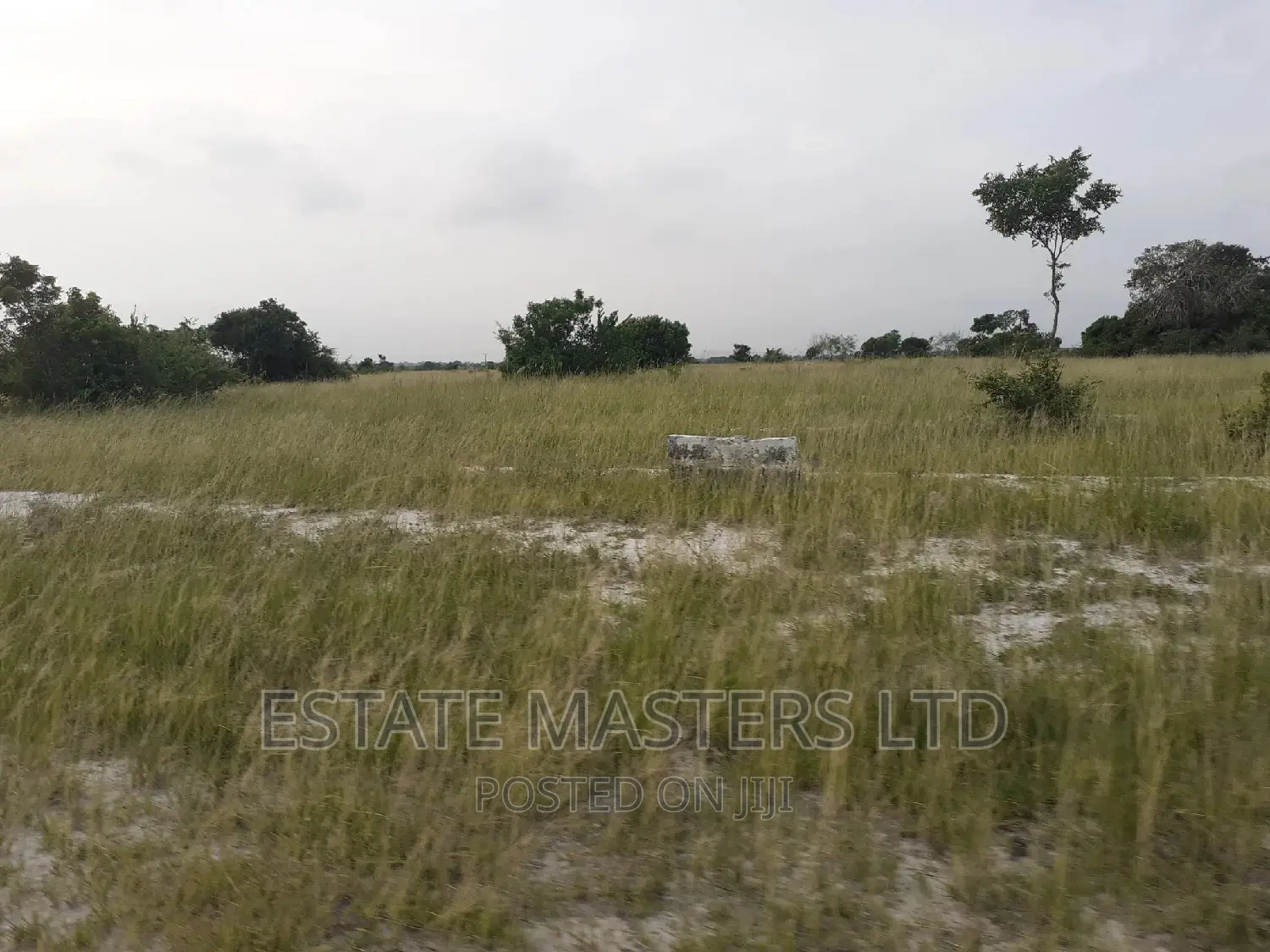 Tsopoli Litigation Free Land