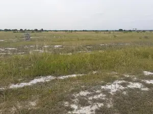 Serviced And Titled Plots