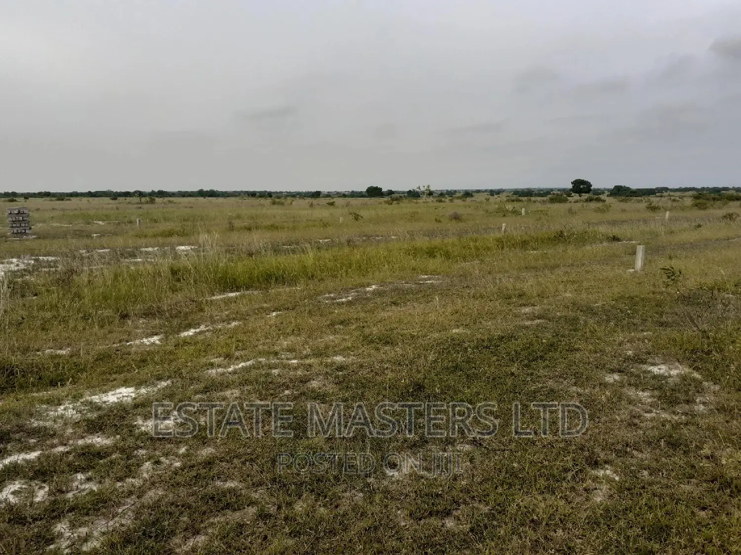 Serviced And Titled Plots