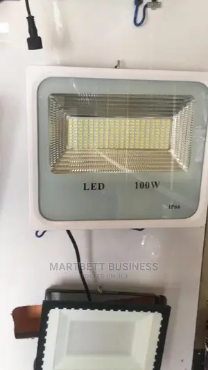 100W Wall Lighting Bulbs