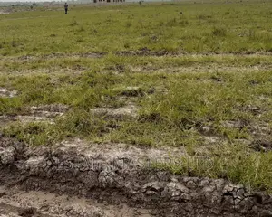 Invest in Airportcity Land