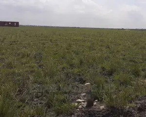 Rush Sales on Land