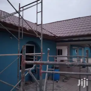 Professional Roofing Painter