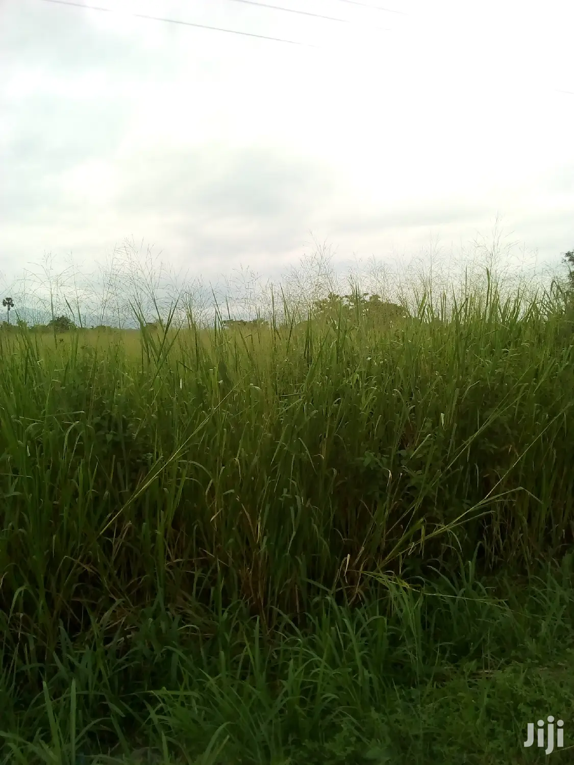 500 Plots of Land for Sale
