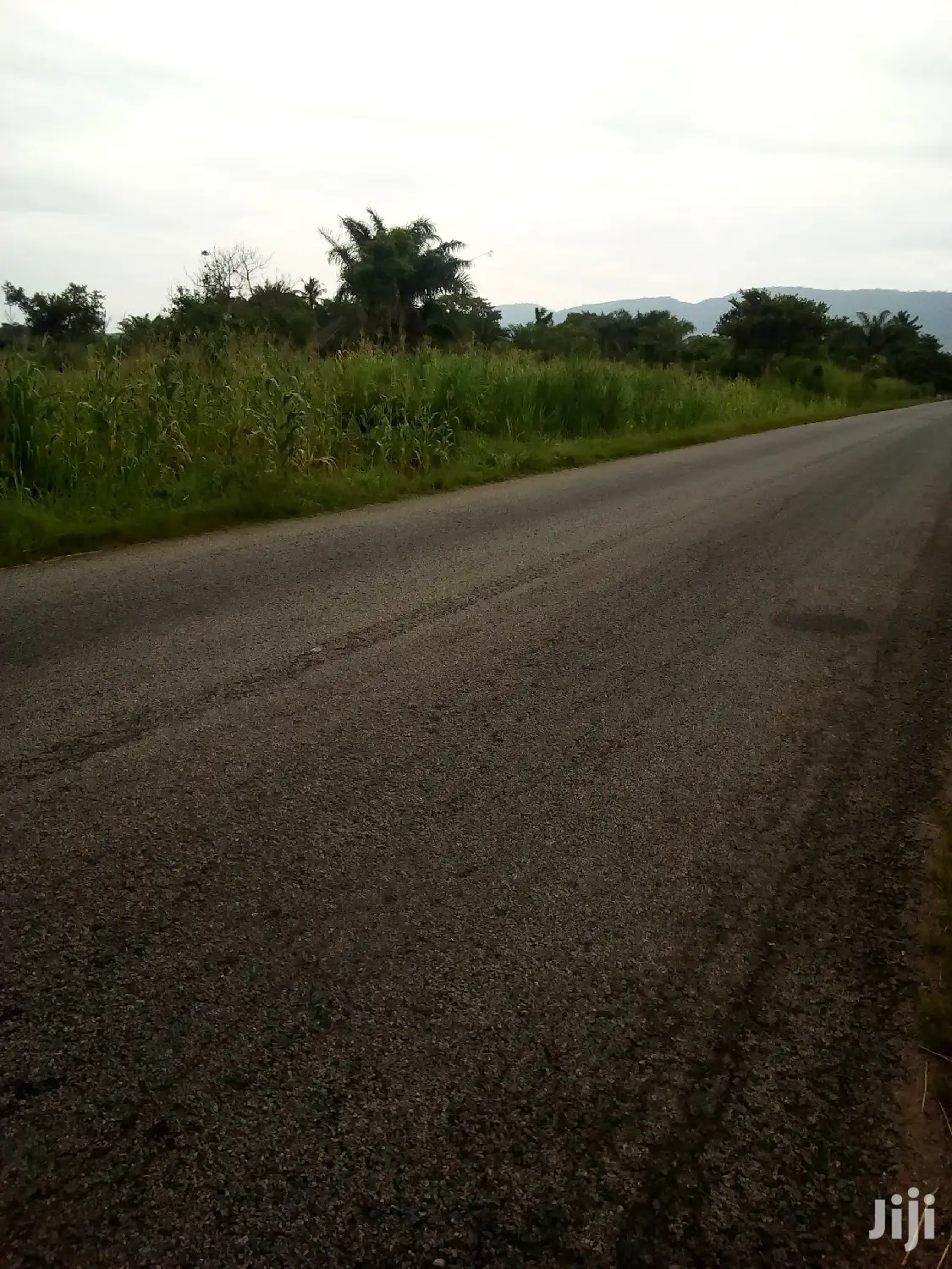 Plots of Land for Sale