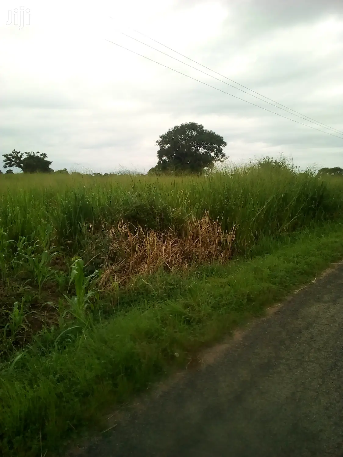 Plots of Land for Sale