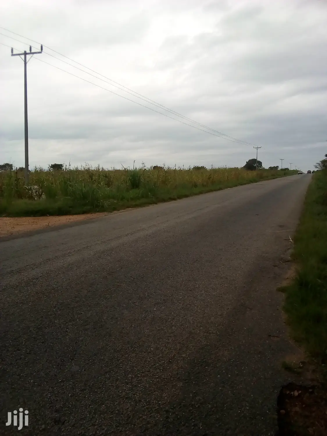 Plots of Land for Sale