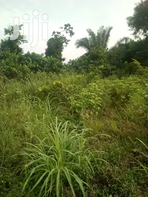 10.000 Acres Of Farm Land For Sale