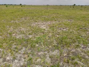 Affordable Lands