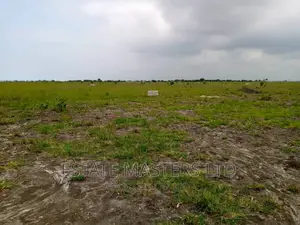 Fully Serviced Estate Plots