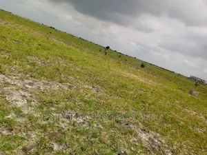 Airport City Flat Area Plots