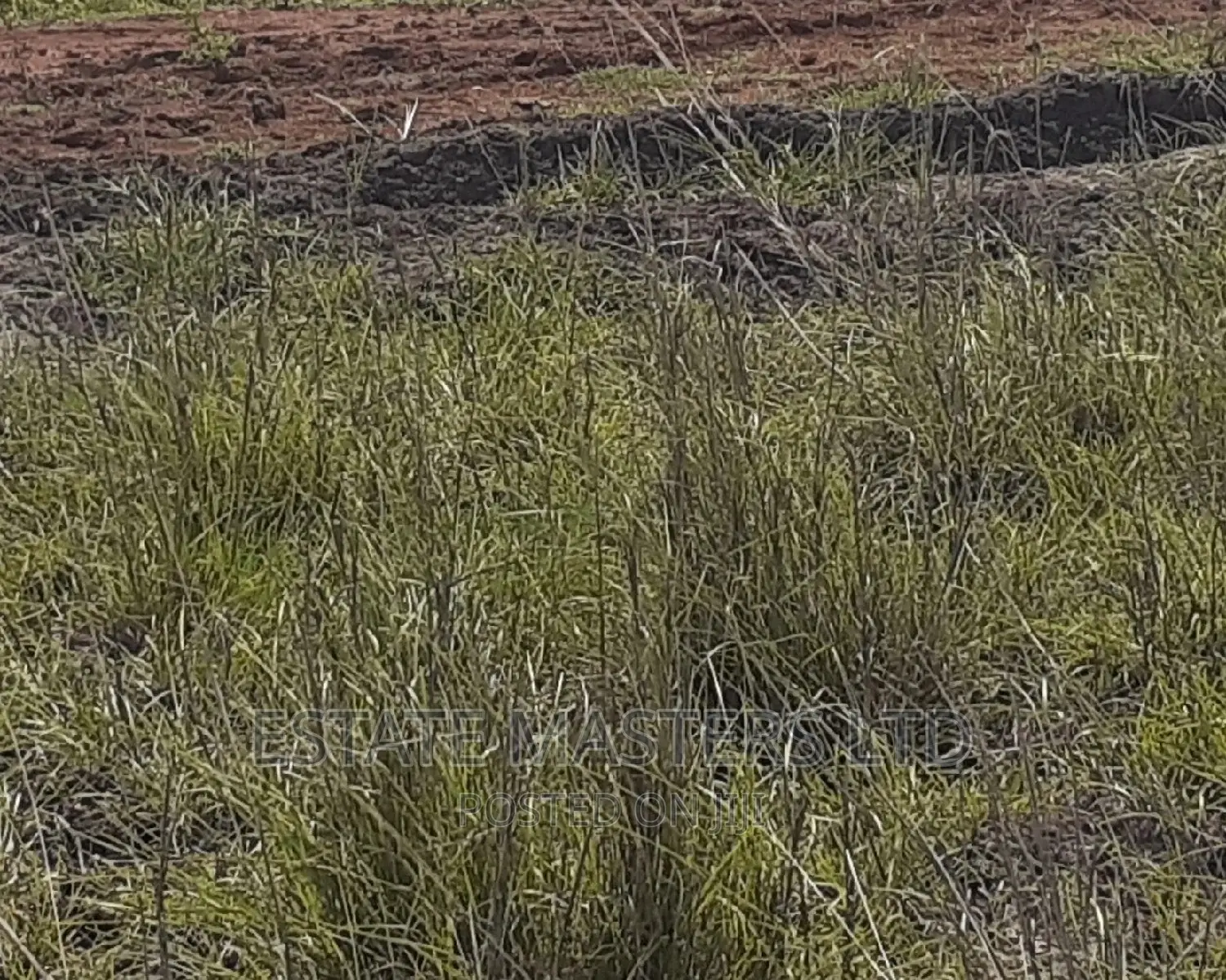 Serviced Demarcated Plots