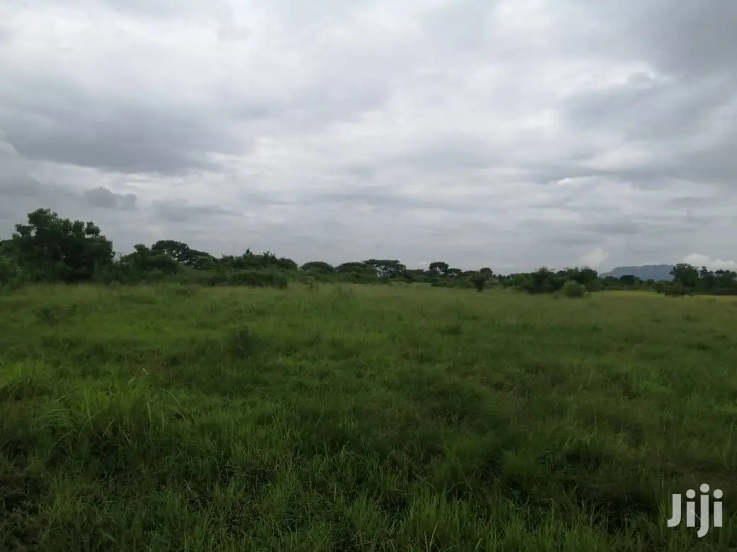 10.000+ Acres of Farm Land for Long Term Lease