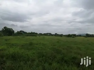10.000+ Acres of Farm Land for Long Term Lease