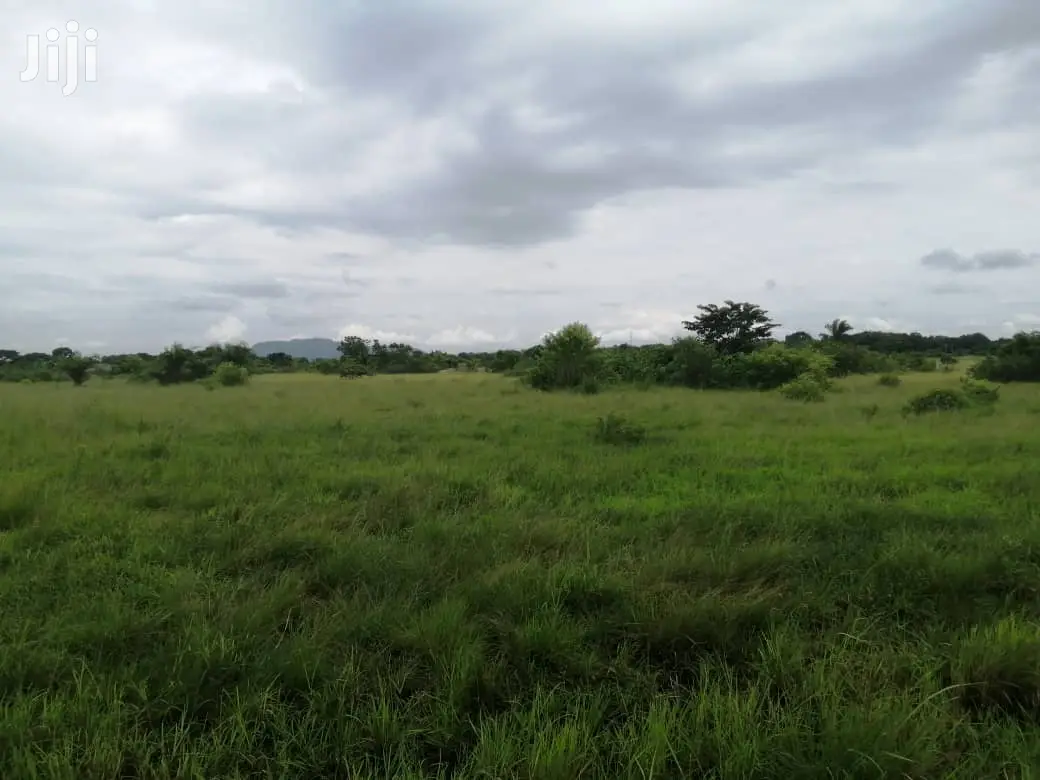 10.000+ Acres of Farm Land for Long Term Lease