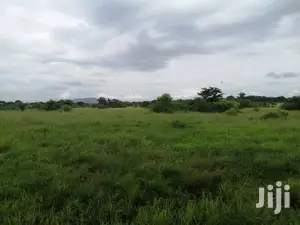 10.000+ Acres of Farm Land for Long Term Lease